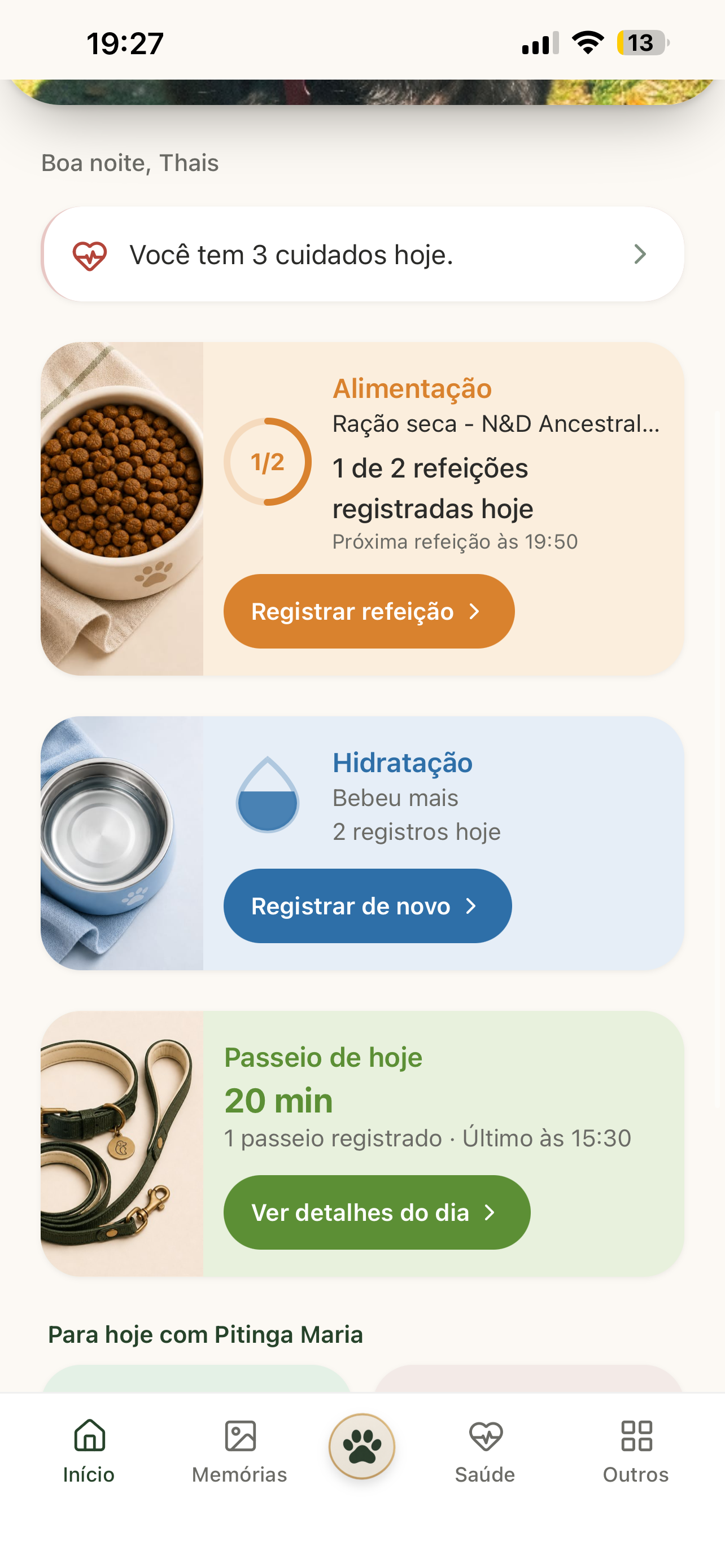 Tela inicial do NORIV mostrando alimentação, hidratação e passeio do dia