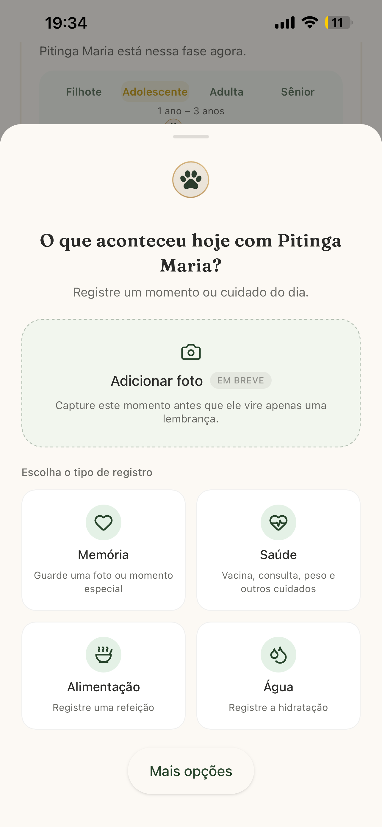 Tela do Hub de registro rápido da Pata Central do NORIV com as opções Memória, Saúde, Alimentação e Água