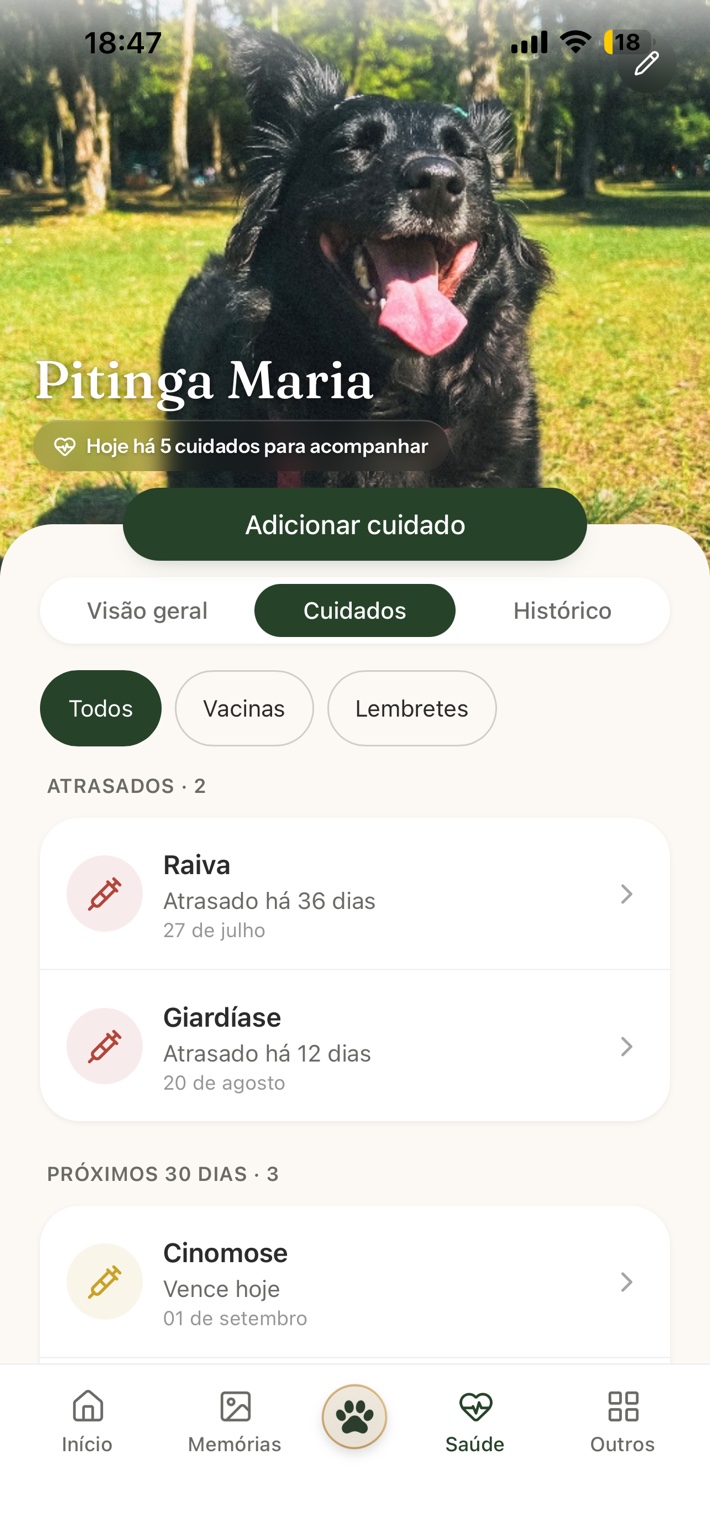 Tela de Saúde do NORIV com cuidados pendentes e lembretes